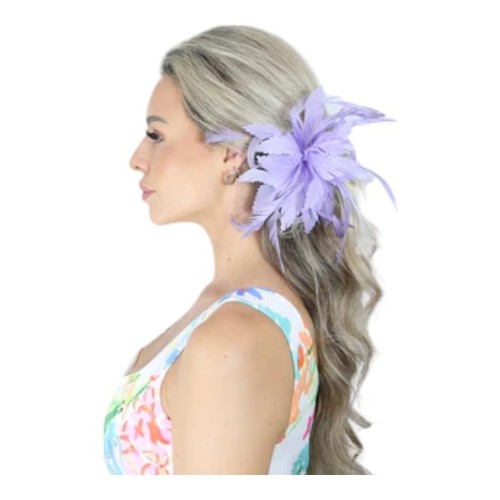 Ladies feather fascinator - feather, hair