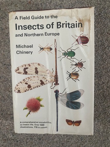 Field guide the insects - guide,
