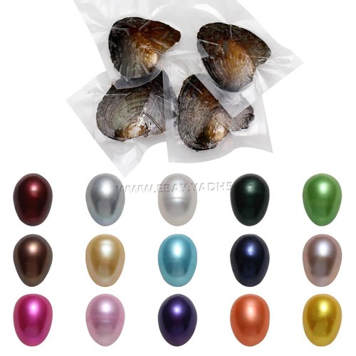 Freshwater oysters with - oysters,