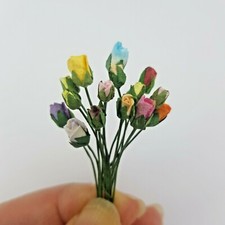 15 Miniature Roses Bud Close
