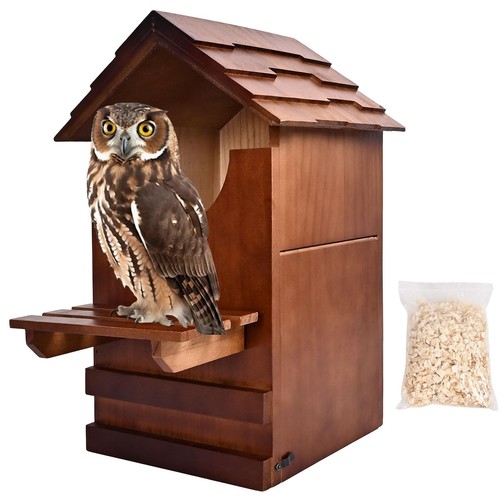 Large owl house 10 x - large, house,