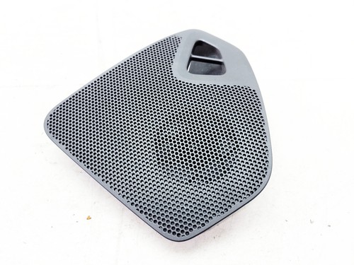 Citroen cactus door - cactus, tweeter