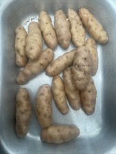 Pink Fir Apple Seed Potatoes -
