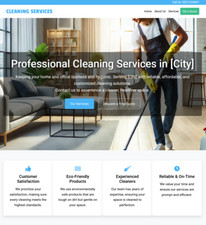 Professional Cleaning Business