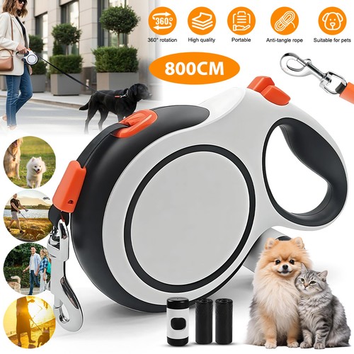 Retractable dog lead - dog,