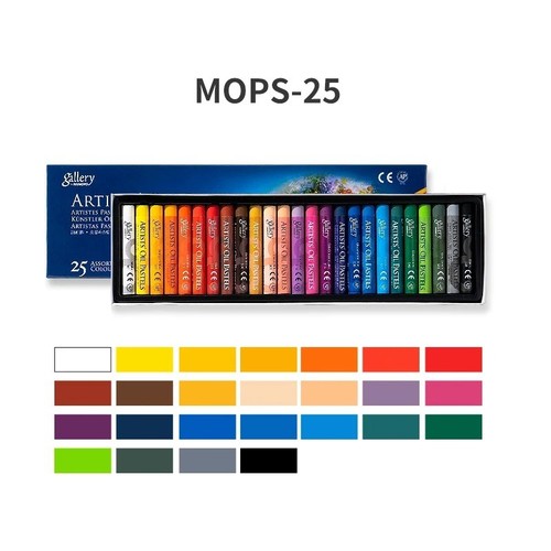 Artist oil pastel - artist, set