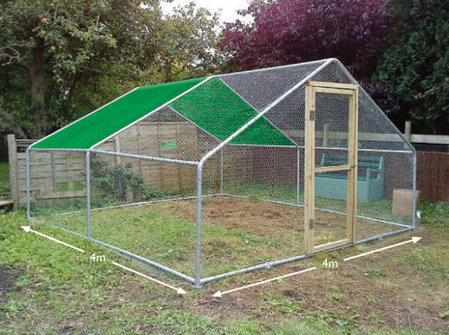 Walk chicken run steel - walk,