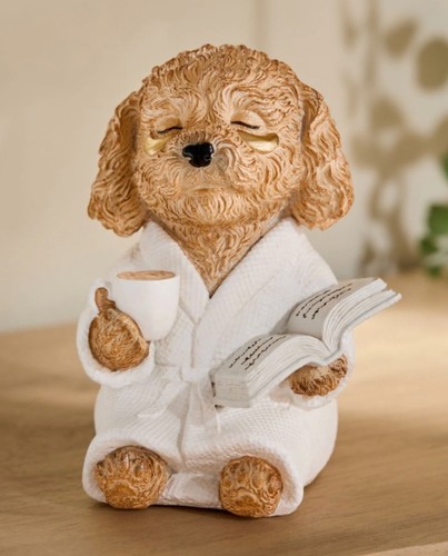 Next charlie the cockapoo - charlie,