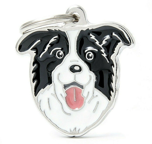 Border collie dog - border, (03n)