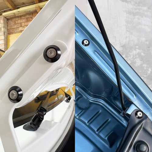 Wing bonnet hinge dress - &,