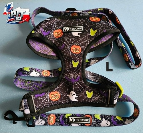Frenchie dog matching set - ,