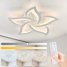 Modern LED Ceiling Light