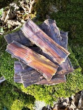 Beef Gullet Chew For Dogs -