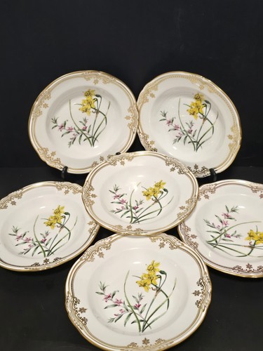 Spode stafford - (6),