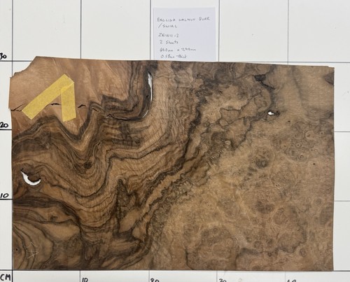 English walnut burr - english, swirl.