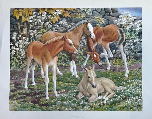 Tunnicliffe ra large - c, f