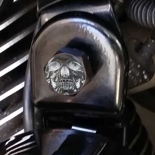 Black billet horn cover - billet,