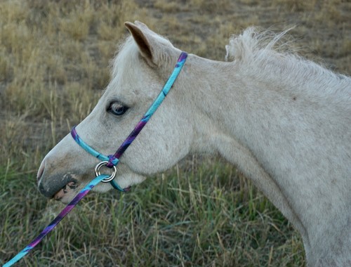 Halter all extra - all,
