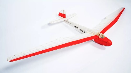 Tony ray minimoa - minimoa, wingspan