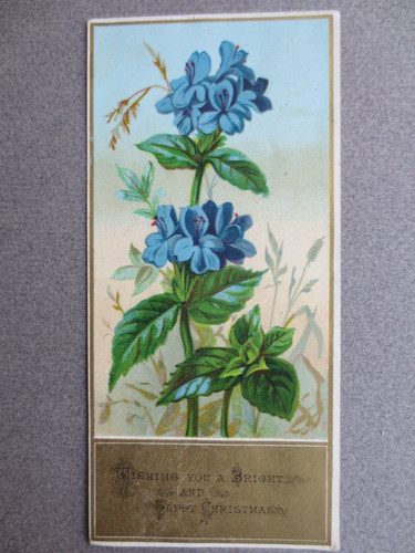 Victorian greetings card - greetings,