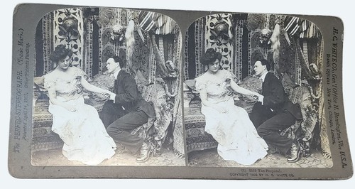 The proposal white co - h.c.,