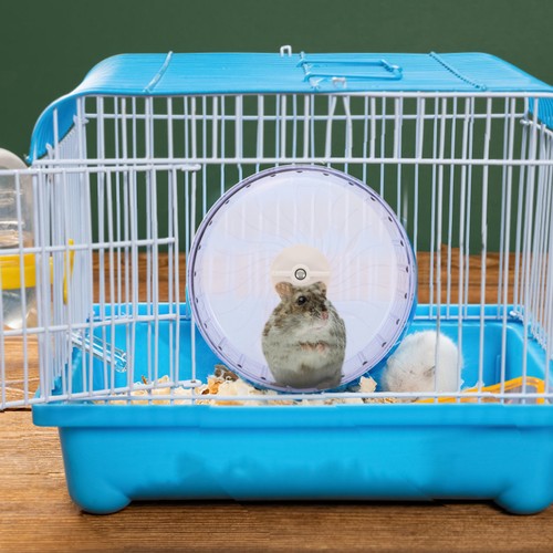 Quiet hamster exercise wheel - hamster,