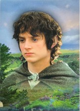 LORD OF THE RINGS FELLOWSHIP