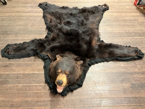 Authentic vintage bearskin - authentic,