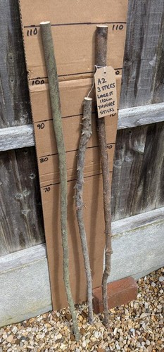 Blackthorn walking stick - walking,