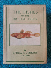 Wayside & Woodland, Fishes of