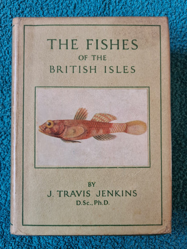 Wayside woodland fishes of - woodland,,