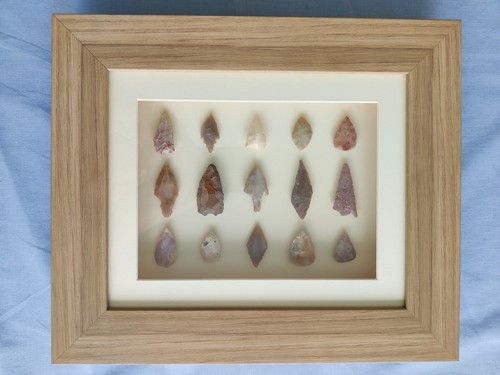 Large framed neolithic - large,