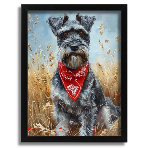 Noble schnauzer portrait - noble,