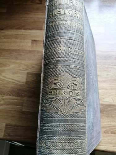 Vintage book illustrated - vintage,