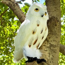 Realistic Feathered Owl