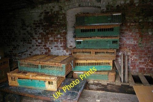 Photo 6x4 pigeon baskets - photo, in