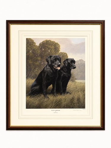 Nigel hemming black - nigel, labrador