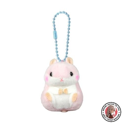 New amuse petit maru - amuse,