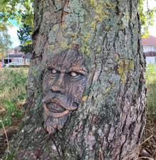 Spirit Green man Plaque tree