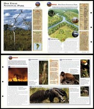 Das Emas National Park #25