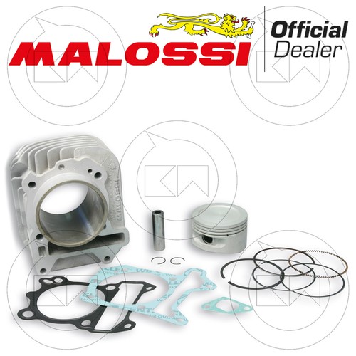 Malossi 3111393 modification - 3111393,
