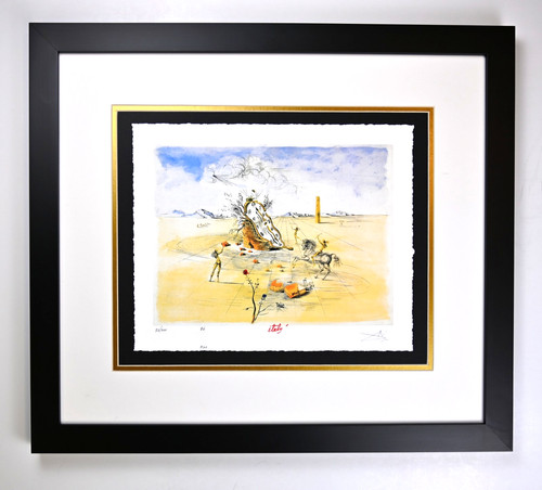 Cosmic horseman by salvador - horseman",