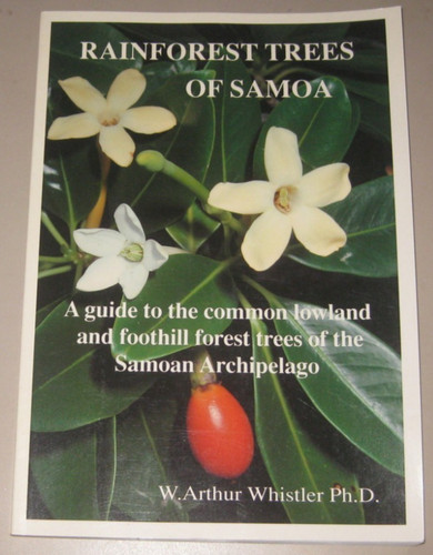The rainforest trees - of, samoa