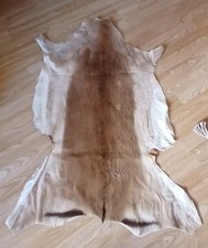 Springbok Skin Hide Fur for Rug or Crafts
