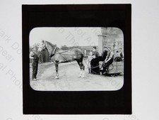 Group Portrait with Horse &