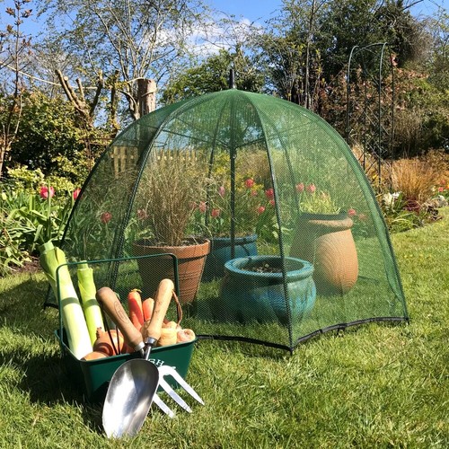 Brolly cloche pop - brolly,