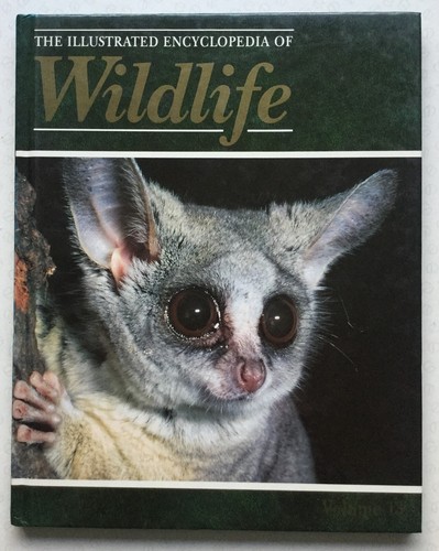 The illustrated encyclopedia - the,