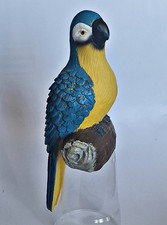 Authentic Blue & Gold Macaw