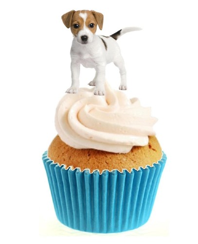 Novelty cute jack - cute, russell