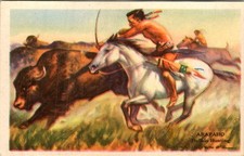 Educational Pictures Indians